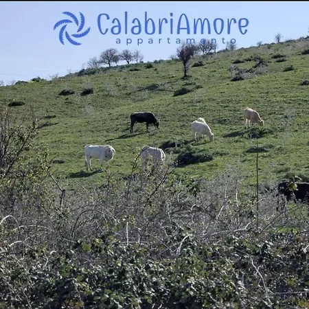 Calabriamore Apartment Marina di Strongoli