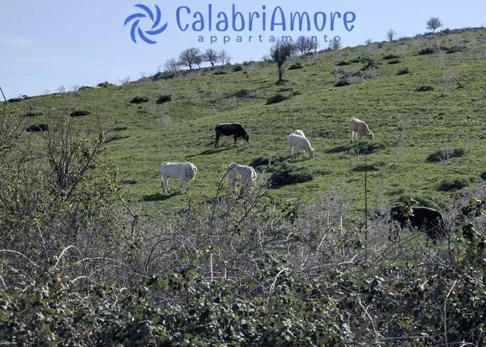 Calabriamore דירה Marina di Strongoli